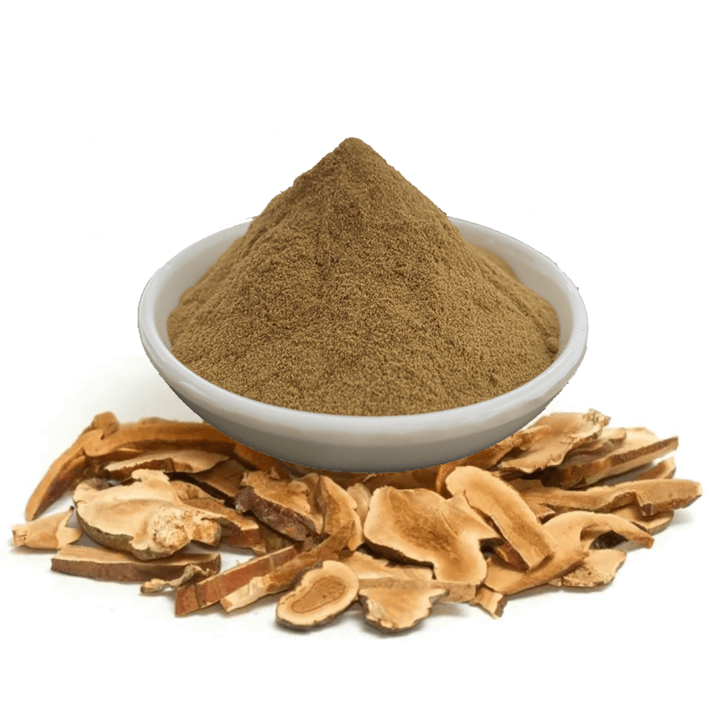 The Health Benefits of Astragalus