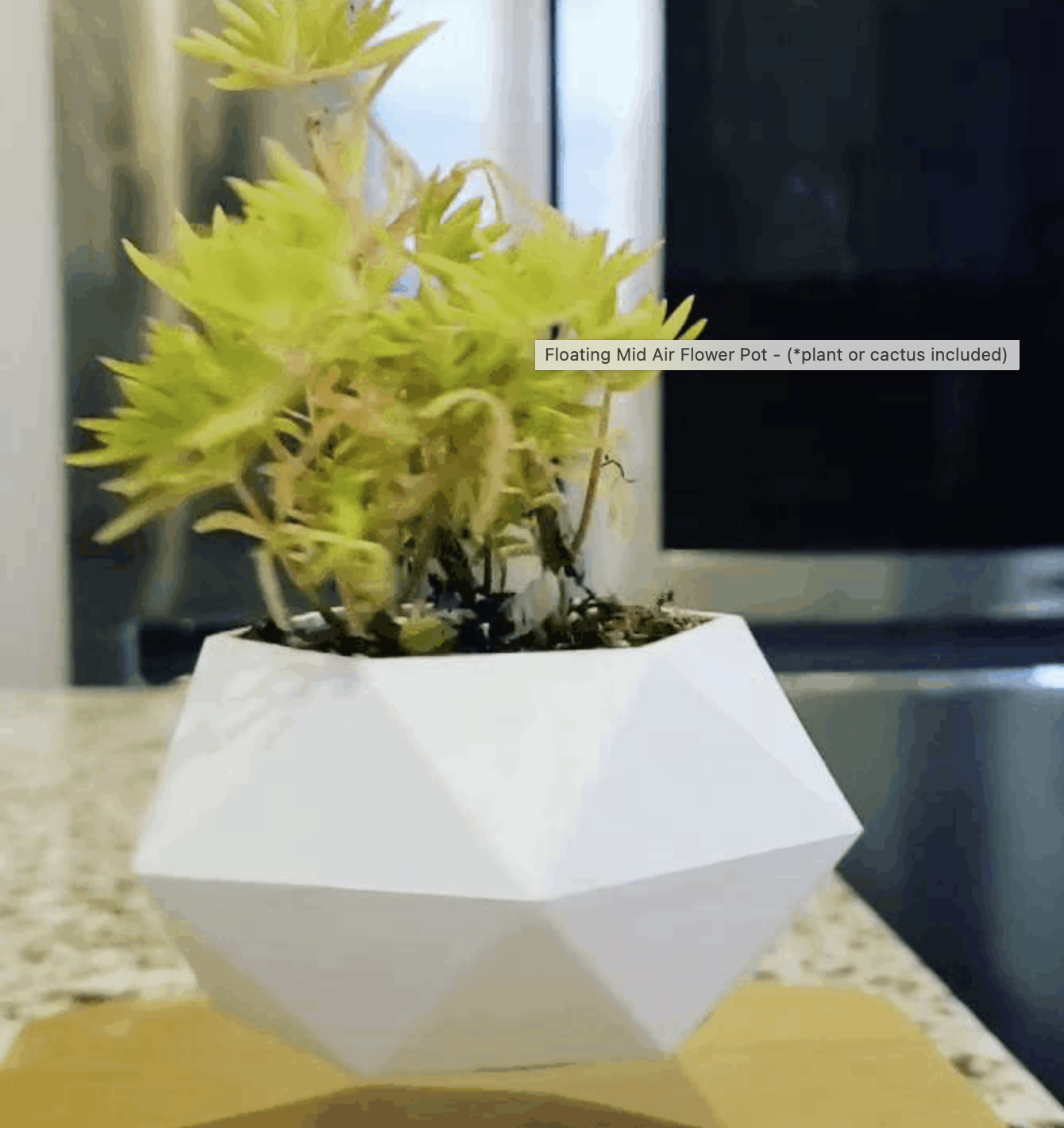 Floating Mid Air Flower Pot